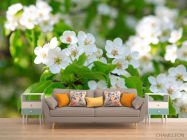 Фотообои белые весенние цветочки - 1