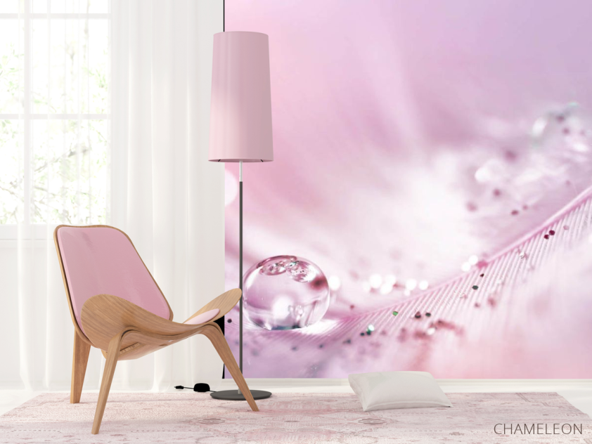 Фотошпалери Перо з росою на рожевому тлі - 4