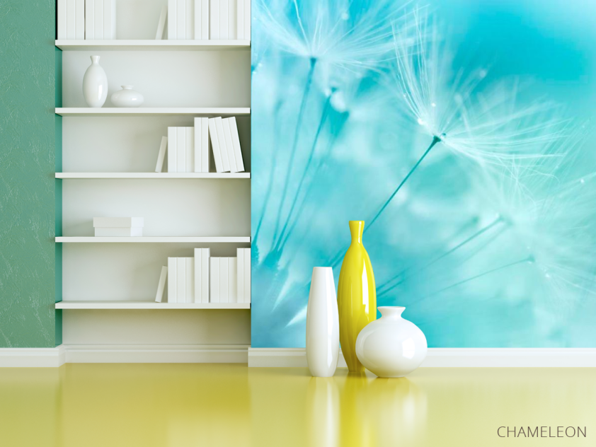 Фотошпалери Кульбаба в небі - 3