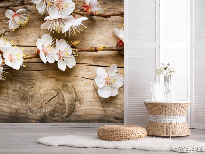 Фотошпалери білі квіточки на гілці - 2