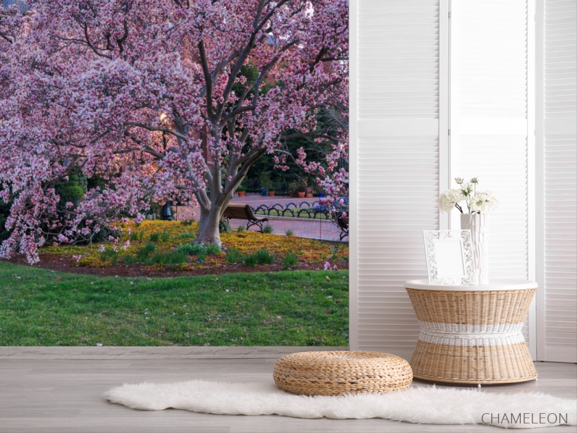 Фотошпалери пухнасте рожеве дерево - 2