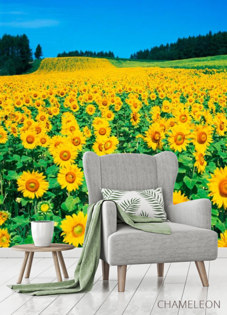 Фотообои Поле подсолнухов - 3