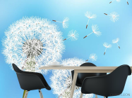 Фотошпалери кульбаби - 1