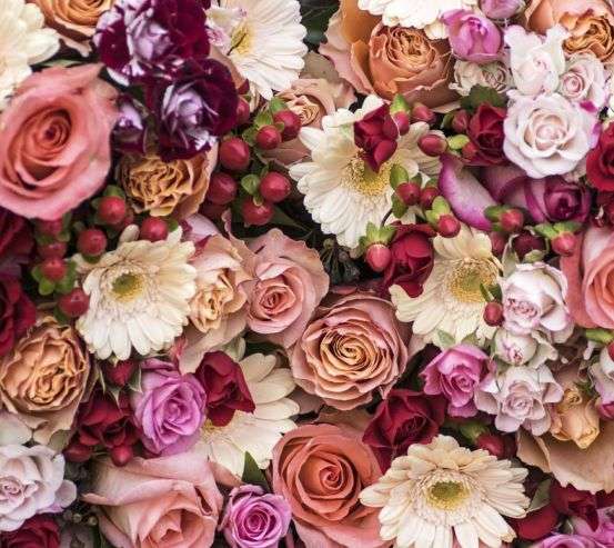 Фотообои цветы и ягоды Фотообои цветы и ягоды 21117