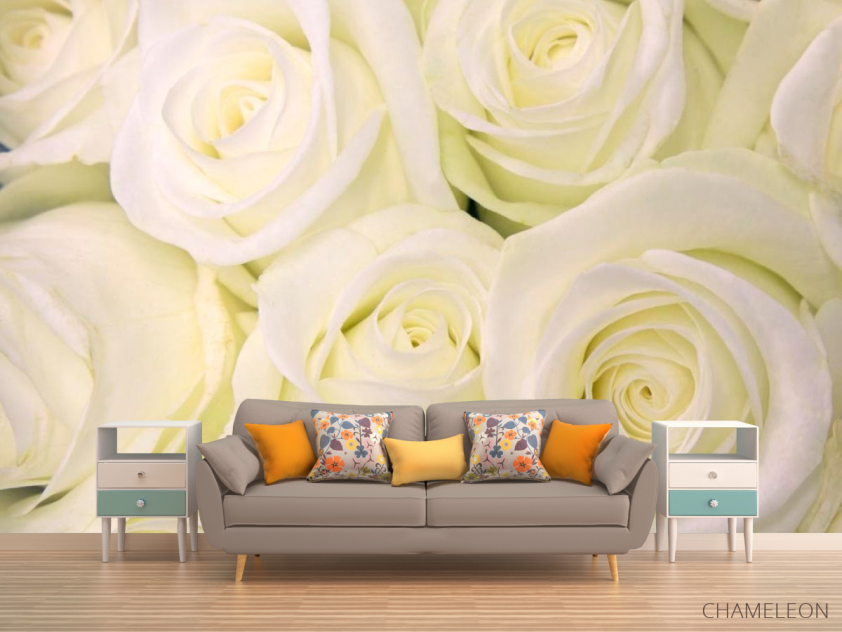 Фотообои Розы белоснежного оттенка - 1