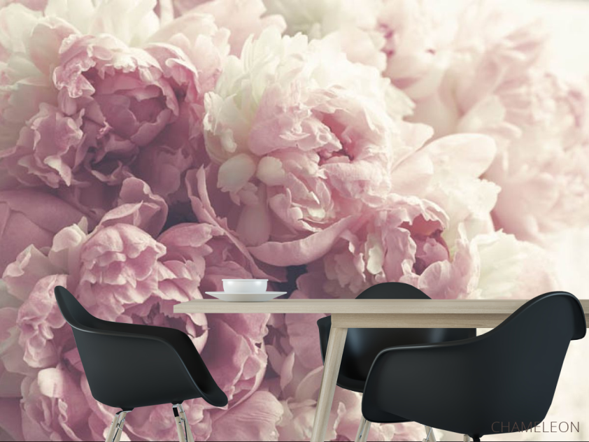 Фотошпалери Рожеві півонії - 1