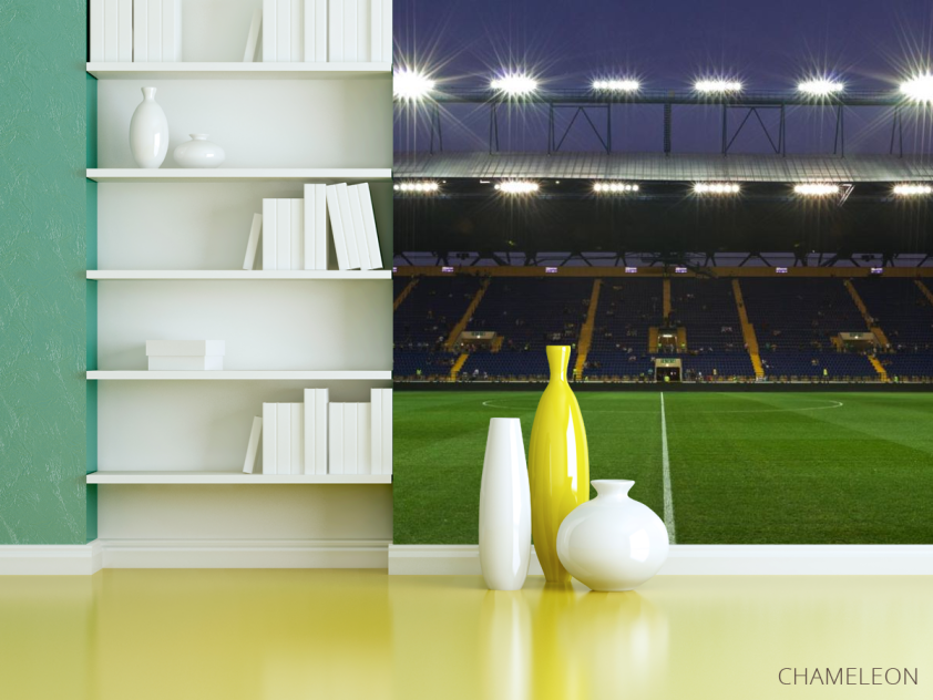 Фотошпалери стадіон з людьми - 3