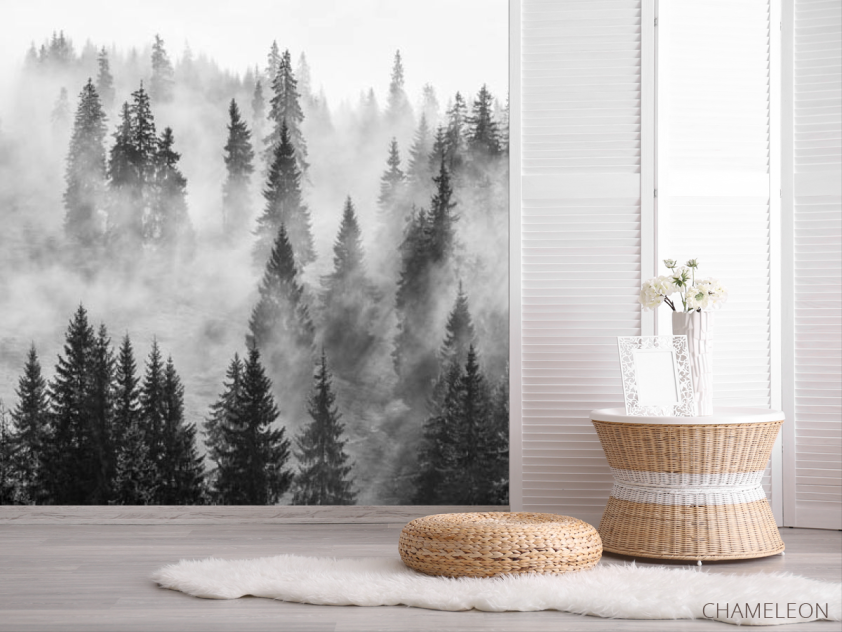 Фотошпалери туманні ялини - 2