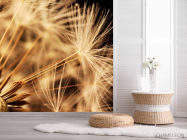 Фотошпалери Макро кульбаби - 2