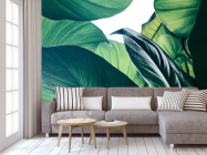 Фотообои Зелёные листья - 3
