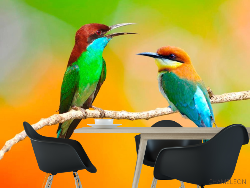 Фотошпалери Колібрі на гілці - 1