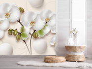 Фотошпалери Орхідея 3д - 2