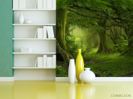 Фотошпалери зелений ліс - 3