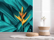 Фотошпалери яскрава Стреліція - 2