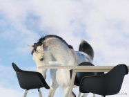 Фотошпалери Білий кінь - 1