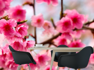 Фотошпалери Дерево з рожевими ветами - 1