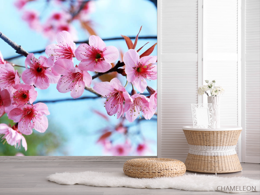 Фотошпалери Квітуча гілка - 2