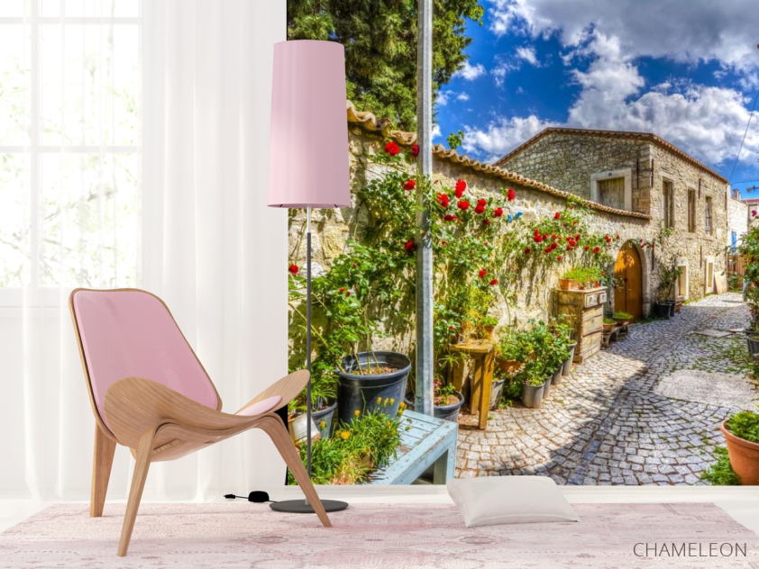 Фотошпалери провулок з трояндами - 4