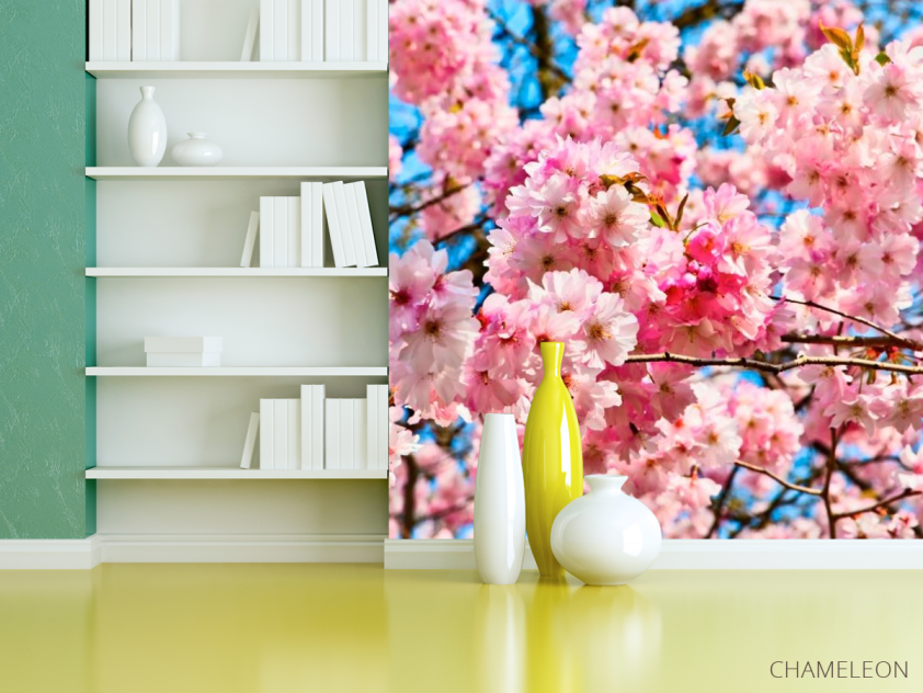 Фотошпалери Цвітіння рожевого дерева - 3