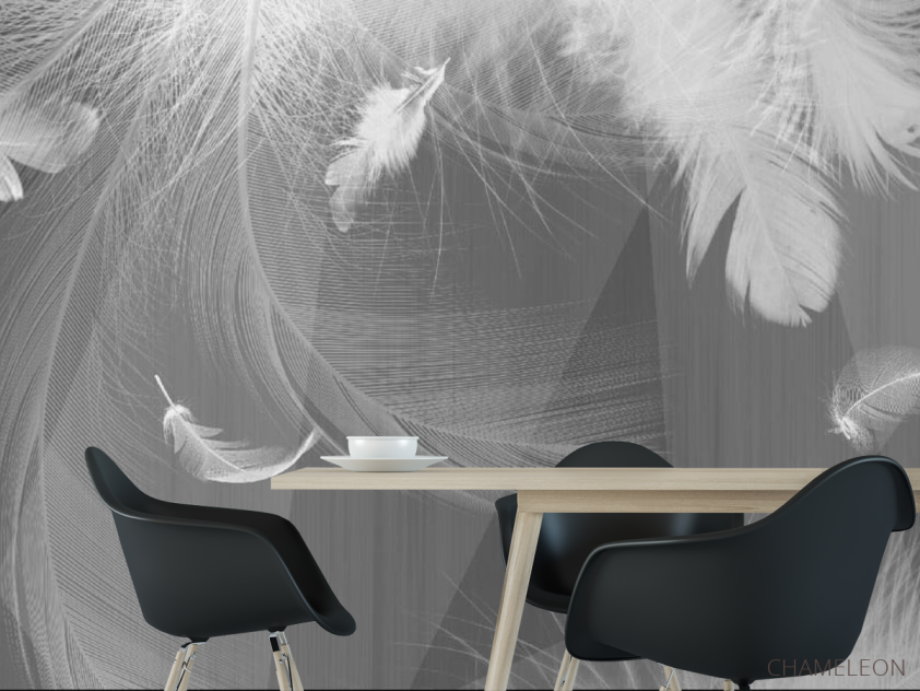Фотошпалери ч / б пір'я - 1