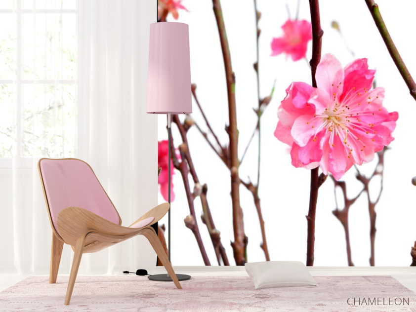 Фотошпалери Рожева квітка - 4