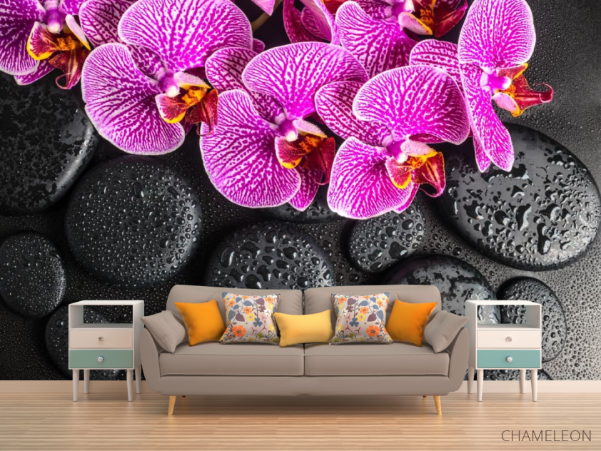 Фотообои сиреневые орхидеи на черных камнях с каплями - 1