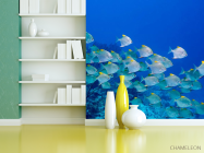 Фотошпалери Зграя риб - 3