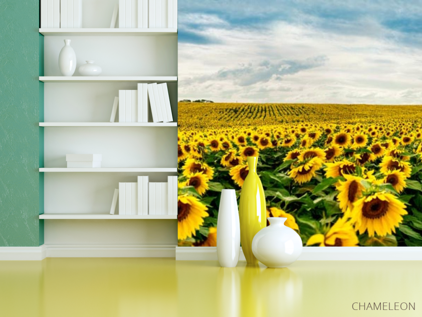 Фотошпалери велике поле соняшників - 3