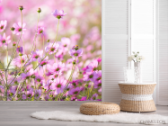 Фотошпалери маленькі рожеві квіточки - 2
