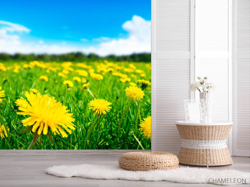 Фотошпалери Одуванчиковое полі - 2