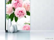 Фотообои Бледно-розовые пионы - 1