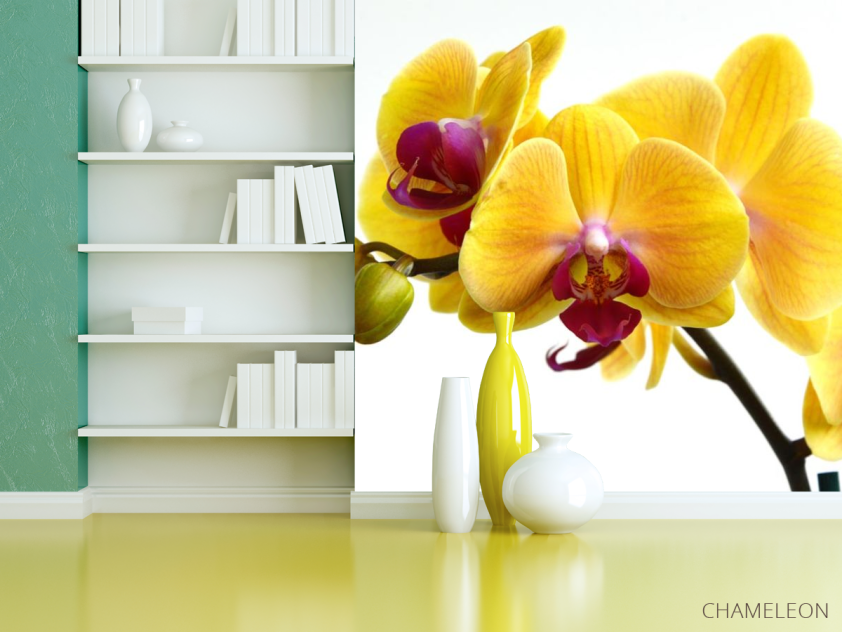 Фотошпалери жовті орхідеї на білому тлі - 3