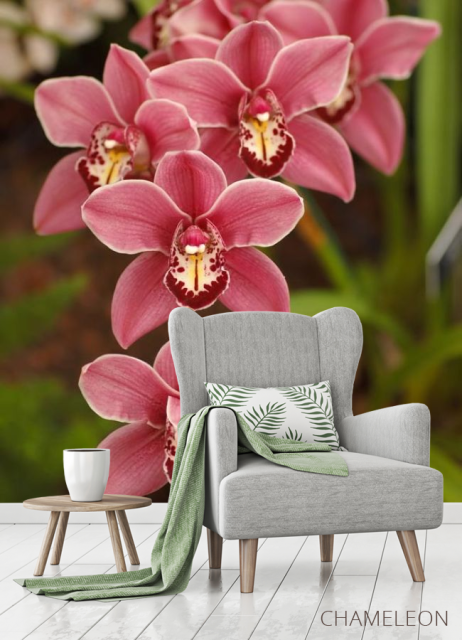 Фотообои Розовые орхидеи - 3