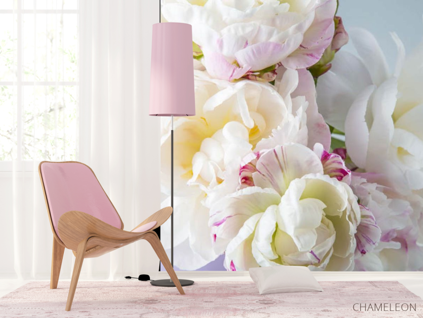 Фотошпалери півонії білі - 4
