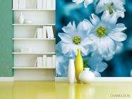 Фотошпалери Зірочник - 3