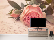 Фотообои Розы кремовые, бумага - 2