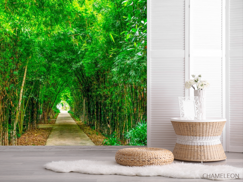 Фотошпалери Бамбук, дорга, плита - 2