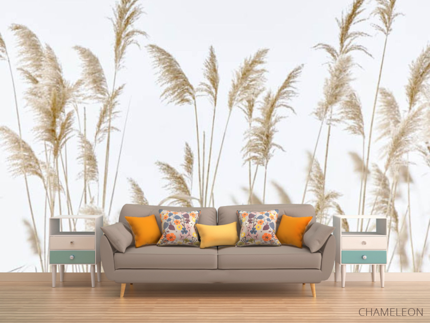 Фотообои Сухоцветы камышь - 1