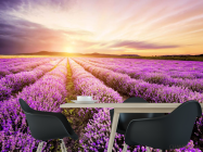Фотошпалери Захід у лавандовом полі - 1