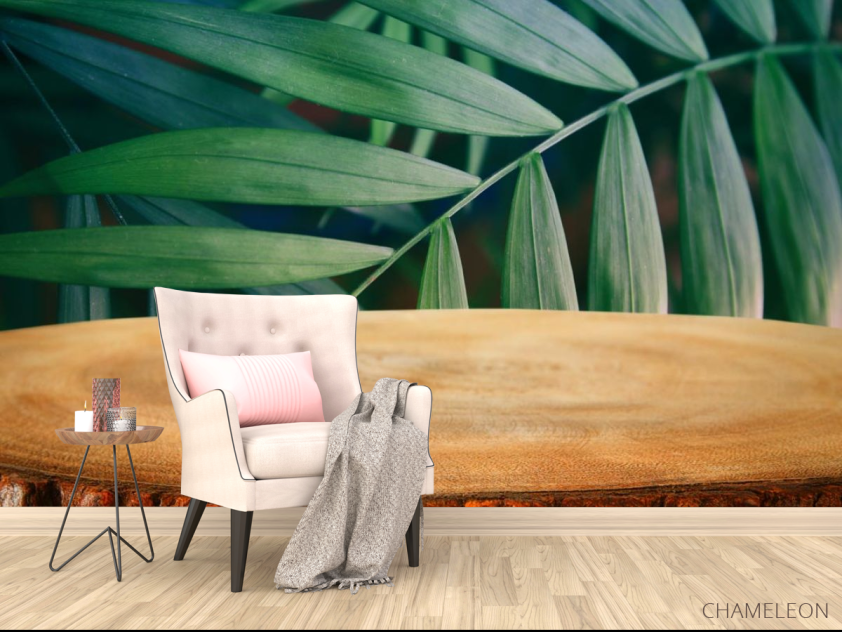 Фотообои пенек в лесу - 4