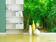 Фотошпалери Бамбук, дорга, плита - 3