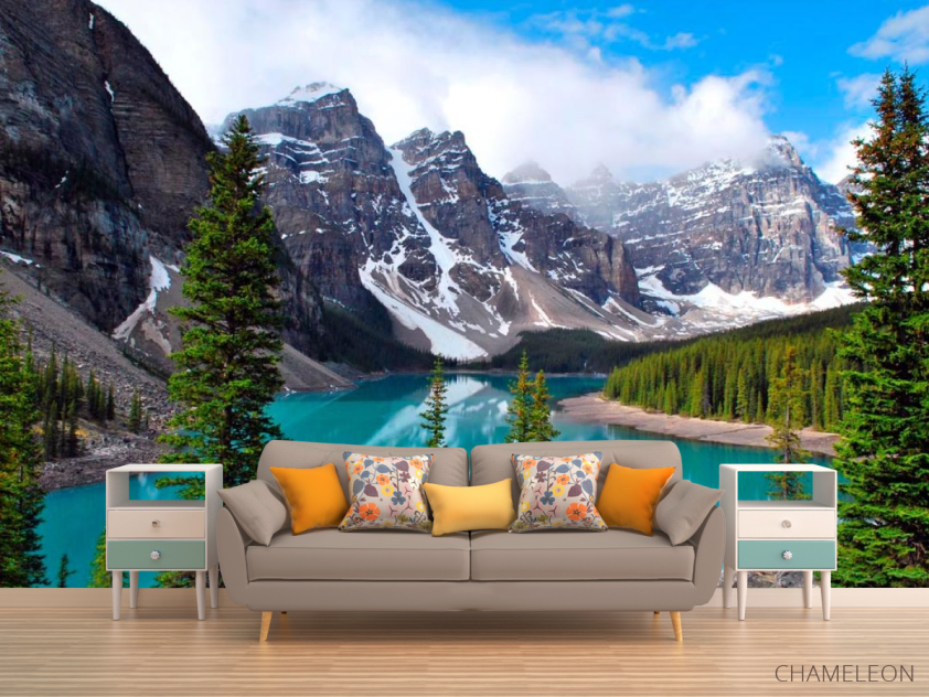 Фотообои Скалы, вода, ёль - 1