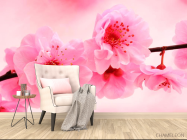 Фотообои Распустилась вишня - 4