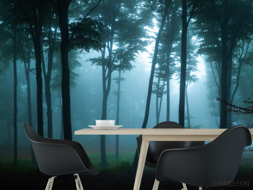 Фотошпалери ліс, туман - 1