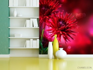 Фотообои Астры алые - 3