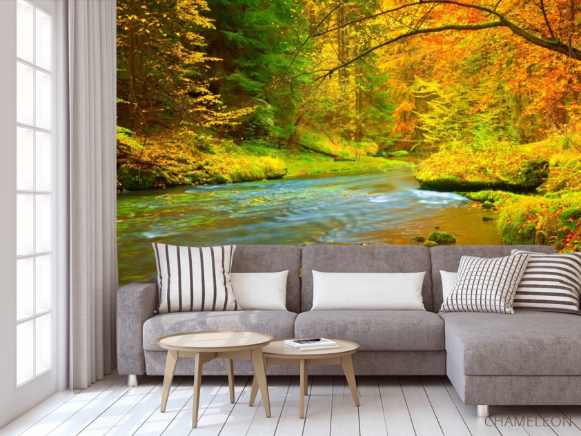 Фотообои яркий осенний лес - 3