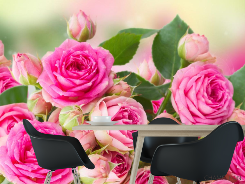 Фотошпалери чайна троянда - 1