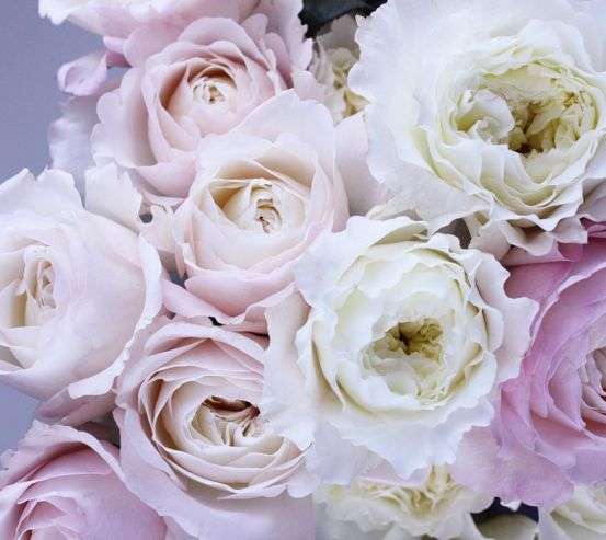 Фотообои Нежный букет 22221