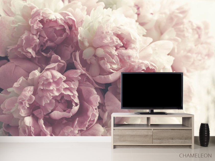 Фотообои Розовые пионы - 2