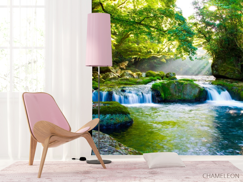 Фотошпалери Дивний куточок лісу - 4